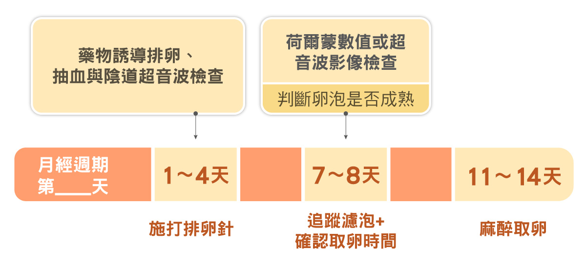 凍卵 凍卵 - 生殖醫學| 許越涵婦產科醫師