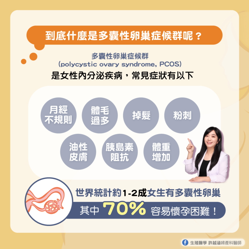 我患有 PCOS而且想要懷孕，我需要知道的n件事？ - 生殖醫學｜ 許越涵婦產科醫師