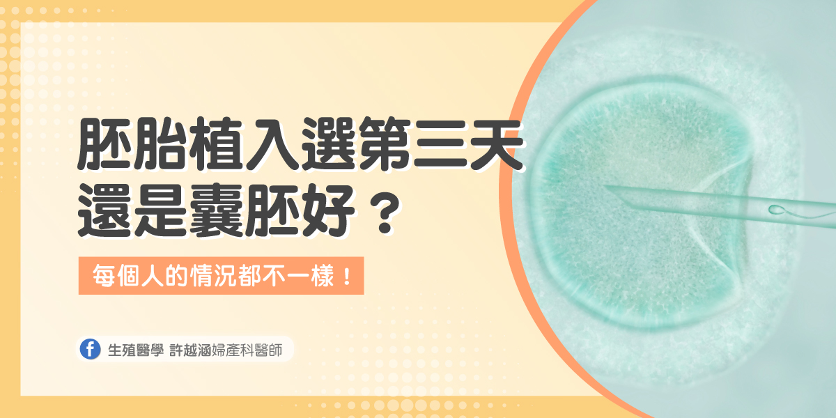 胚胎植入到底選第三天好,還是囊胚好? 胚胎植入