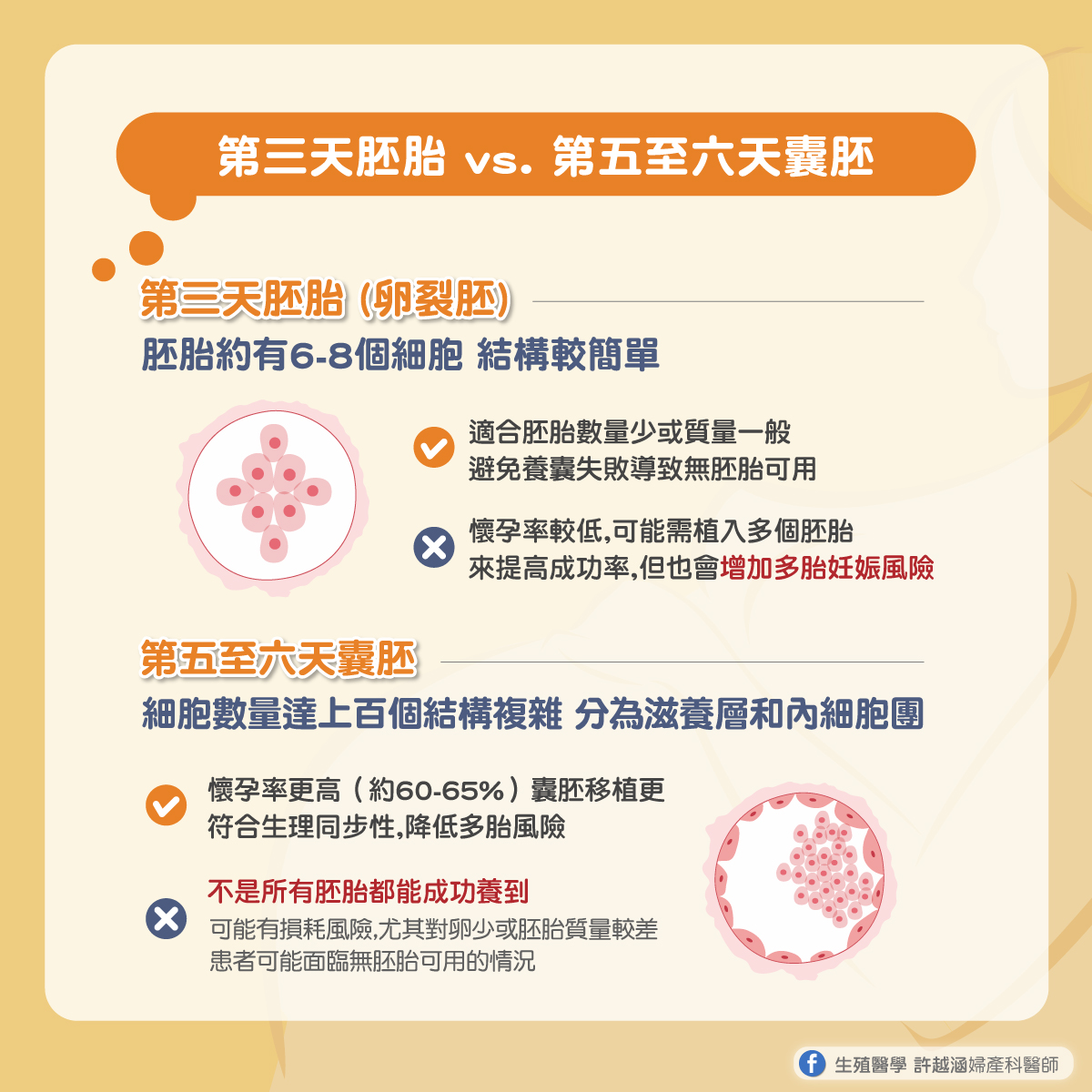 胚胎植入到底選第三天好,還是囊胚好? 胚胎 囊胚