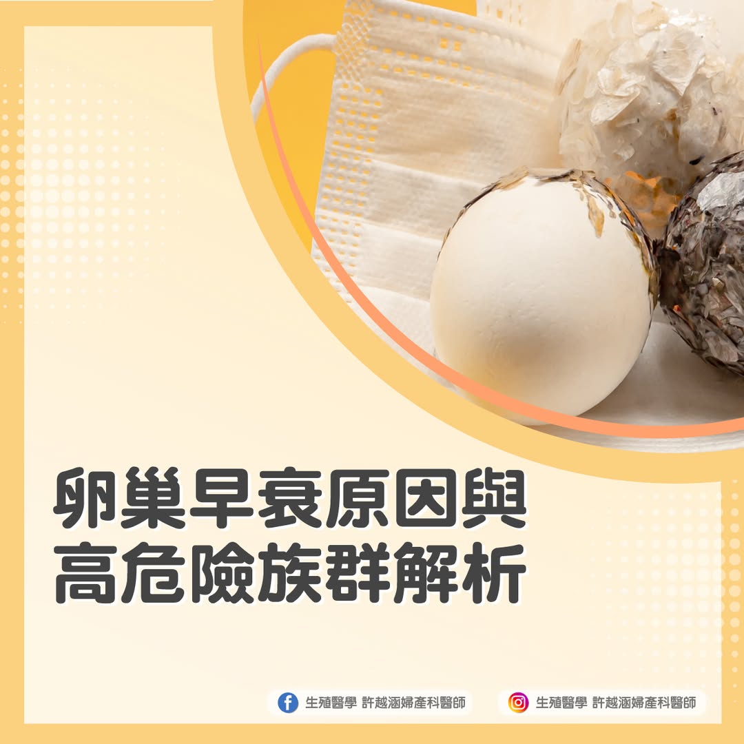 卵巢早衰原因與高危險族群解析-正 好孕百科 - 生殖醫學| 許越涵婦產科醫師