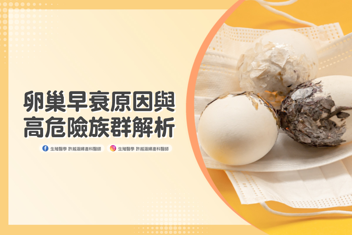 卵巢早衰原因與高危險族群解析 - 生殖醫學｜ 許越涵婦產科醫師