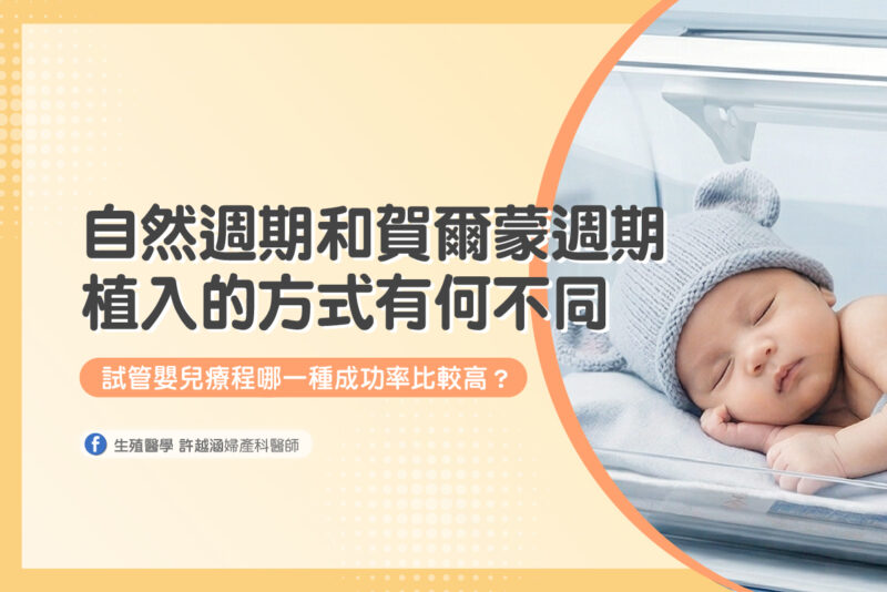 自然週期 賀爾蒙週期 植入